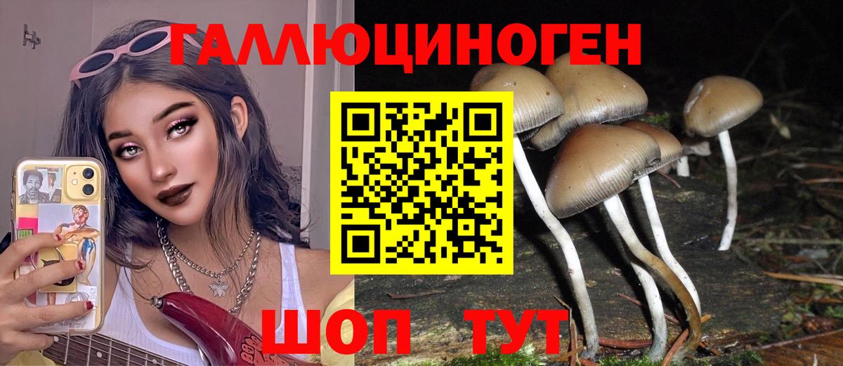 Галлюциногенные грибы Cubensis  Вход с VPN  Березники  Псилоцибиновые грибы GOLDEN TEACHER 