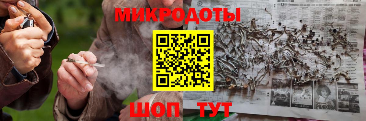 Галлюциногенные грибы Psilocybine cubensis  Березники  Псилоцибиновые грибы Cubensis 